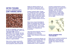 KETEN TOHUMU - Prof. Dr. Zafer Malazgirt