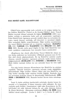 Ege Denizi Sahil Halofitleri