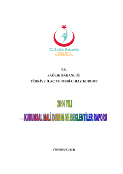 mali rapor - İla&ccedil; ve Eczacılık Genel M&uuml;d&uuml;rl&uuml;ğ&uuml;
