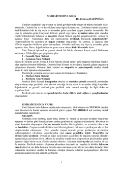 1 SİNİR SİSTEMİNE GİRİŞ Dr. E.Savaş HATİPOĞLU Canlılar