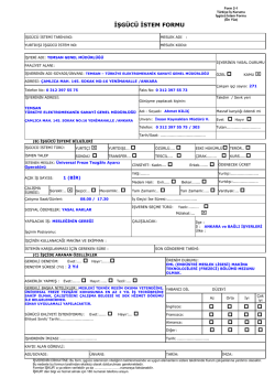 İŞG&Uuml;C&Uuml; İSTEM FORMU
