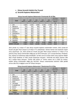 D&uuml;nya ve T&uuml;rk Seramik Sekt&ouml;r&uuml; 2013 Yılı Bilgi Notu