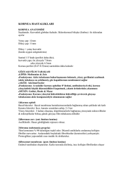 kornea hastalıkları