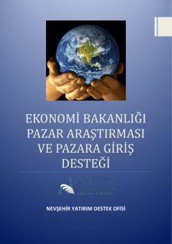 Pazar Araştırması ve Pazara Giriş Desteği