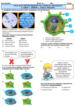 Puan 2014-2015 EĞİTİM &Ouml;ĞRETİM YILI İSTİKLAL