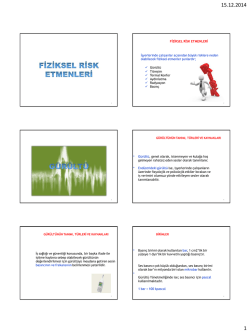Fiziksel_Risk_Etmenleri