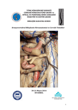Birleşik Kadavra Kursu - Türk Nöroşirurji Derneği Spinal ve Periferik