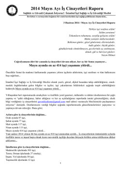 Raporun PDF halini okumak ve tablolara ulaşmak