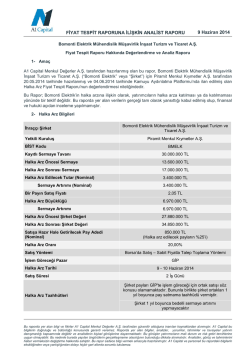 FİYAT TESPİT RAPORUNA İLİŞKİN ANALİST RAPORU