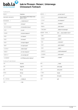 Unterwegs (Chinesisch-T&uuml;rkisch)