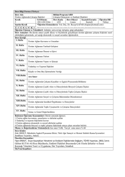 Tijen ERDUT, İnsan Kaynakları Y&ouml;netimi ve End&uuml;stri İlişkilerinde