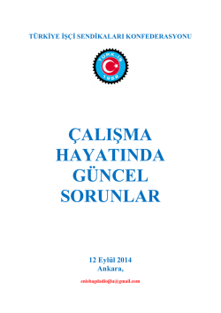 kamuda ge&ccedil;ici stat&uuml;de &ccedil;alışan iş&ccedil;i sayısı - T&uuml;rk-İş