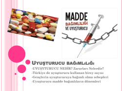 2013-2014 Kimya Dersi Performans &Ouml;devleri