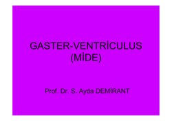 GASTER-VENTRİCULUS (MİDE)