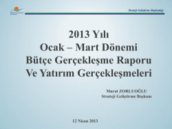 1. &Uuml;&ccedil; Aylık B&uuml;t&ccedil;e Ger&ccedil;ekleşme Raporu (2013)