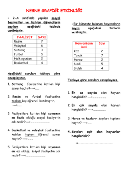 NESNE GRAFİĞİ ETKİNLİĞİ
