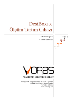 DesiBox100 Broş&uuml;r&uuml; - Voras Ar-Ge