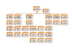 Ercan K&Ouml;K Daire Başkanı