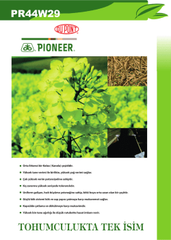 PİONEER Kanola.ai