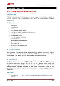 610 ekspres montaj yapıştırıcı
