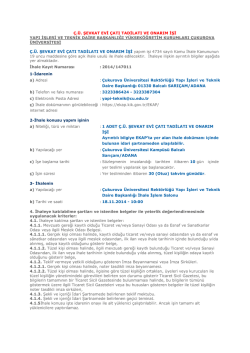 &ccedil;.&uuml;. şevkat evi &ccedil;atı tadilatı ve onarım işi