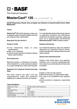 MasterCast&reg; 125 (Eski adı RHEOMIX&reg; 125) Akrilik