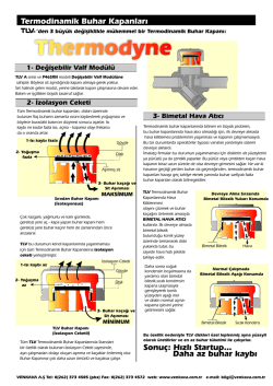 Termodinamik Buhar Kapanı