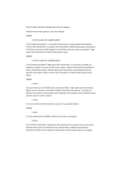 Evviva Yaşam Merkezi Şantiye Son Durum Raporu