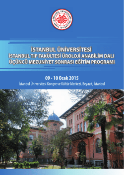3. Mezuniyet sonrasi program