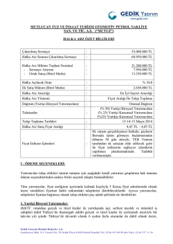 halka arz &ouml;zet bilgileri &ccedil;