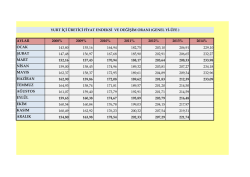 2008 pratik bilgiler