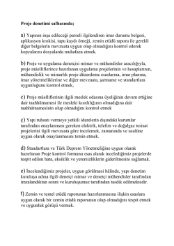 Proje Denetim Safhası