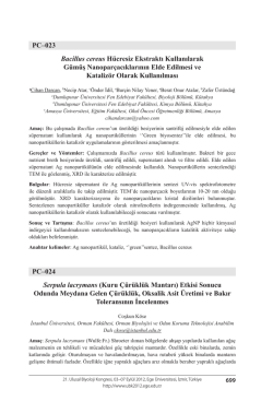 Bacillus cereus H&uuml;cresiz Ekstraktı KullanılarakG&uuml;m&uuml;ş