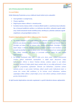 K&uuml;lt&uuml;r Balık&ccedil;ılığı Projeleri