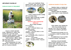 MEVSİMLİK BAKIMLAR - Ankara İl Gıda Tarım ve Hayvancılık