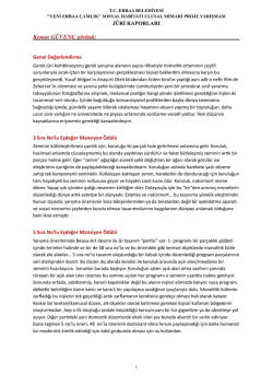 Erbaa &Ccedil;amlık - J&uuml;ri Raporu