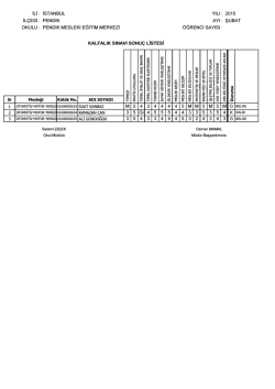 otomotiv motor yenileştirmeciliği