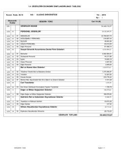 1.4 GİDERLERİN EKONOMİK SINIFLANDIRILMASI TABLOSU 630