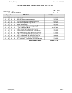 B&uuml;t&ccedil;e Giderlerinin Kurumsal Sınıflandırılması Tablosu