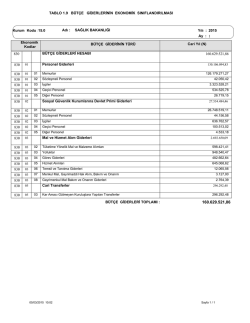 TABLO 1.9 B&Uuml;T&Ccedil;E GİDERLERİNİN EKONOMİK