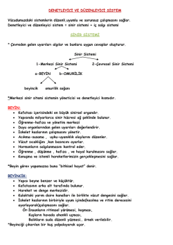 denetleyıcı_ve_duzenleyıcı_sıstem_1