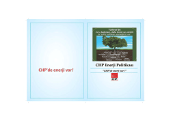 CHP Enerji Politikası Raporu