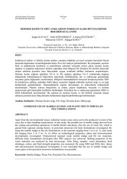 MERMER KESİM VE FRİT ATIKLARININ PORSELEN KARO