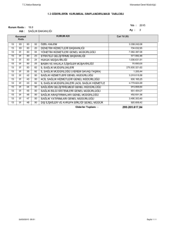 1.3 giderlerin kurumsal sınıflandırılması tablosu &ouml;zel kalem denetim