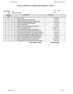 1.6 b&uuml;t&ccedil;e giderlerinin kurumsal sınıflandırılması tablosu &ouml;zel kalem