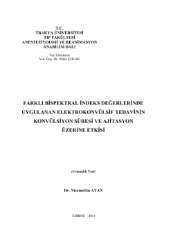 farklı bispektral indeks değerlerinde uygulanan elektrokonv&uuml;lsif