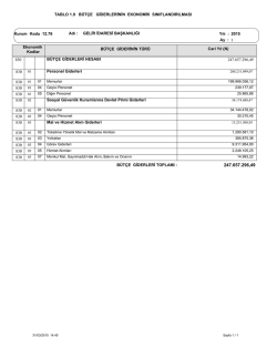 TABLO 1.9 B&Uuml;T&Ccedil;E GİDERLERİNİN EKONOMİK