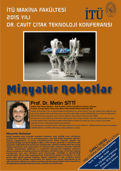 Minyat&uuml;r Robotlar