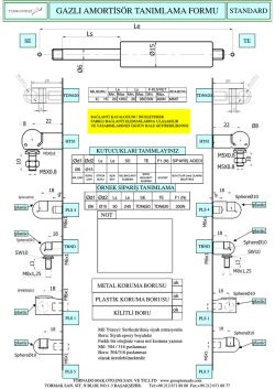 Standart Amortis&ouml;r Tanımlama Formları