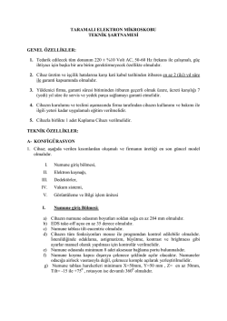 taramalı elektron mikroskobu teknik şartnamesi